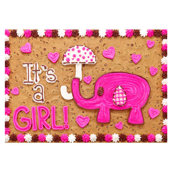 It’s a Girl Elephant!